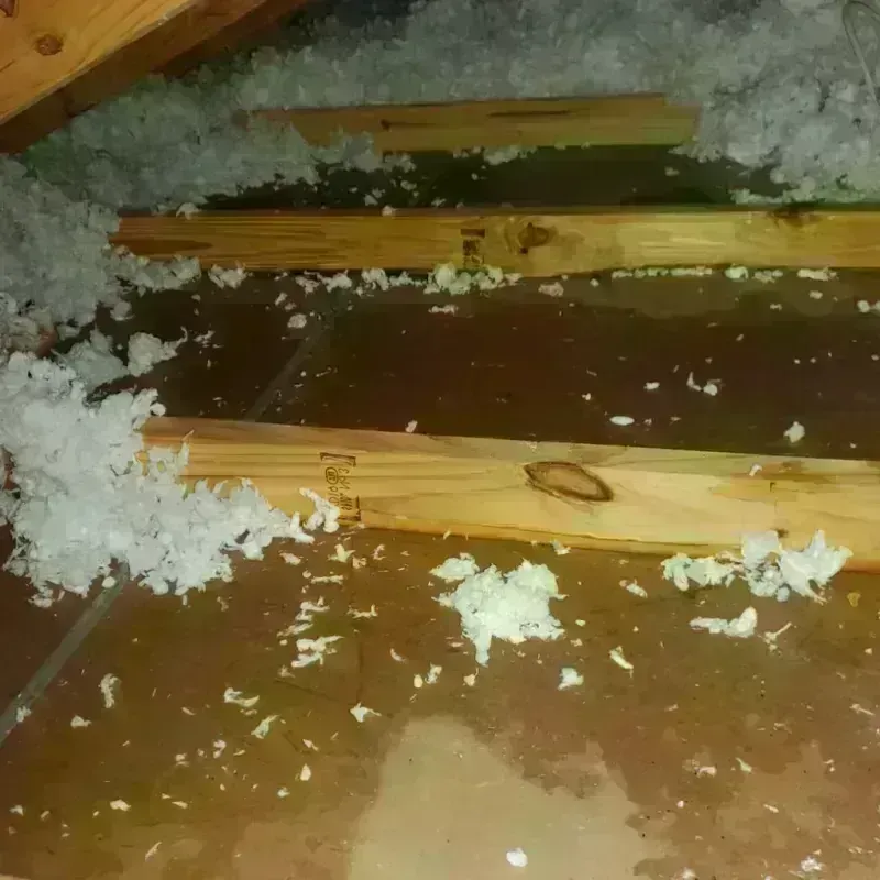 Attic Water Damage in Lexington, MS